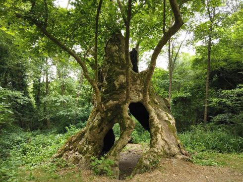 109853386_846208372452290_1407121765264367573_o